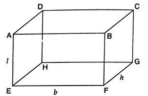 Perfect Labelled Cuboid